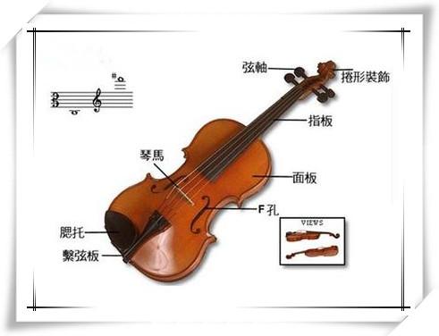 小提琴指法位置图(小提琴的基础知识及标记)