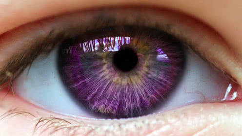 世界上稀有的紫色瞳孔，真是美到极致(眼睛的颜色)