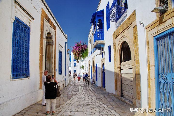 突尼斯是哪个洲的国家(是个怎样的国家)-第16张图片-索考网