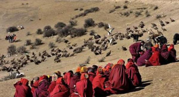 我国藏区的独特葬礼：让秃鹫去吃掉身体（藏族天葬）