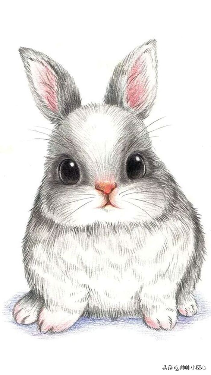 谁有好看的兔子图片？