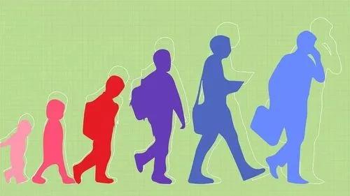人的寿命长短一般是遗传父系的还是母系的？