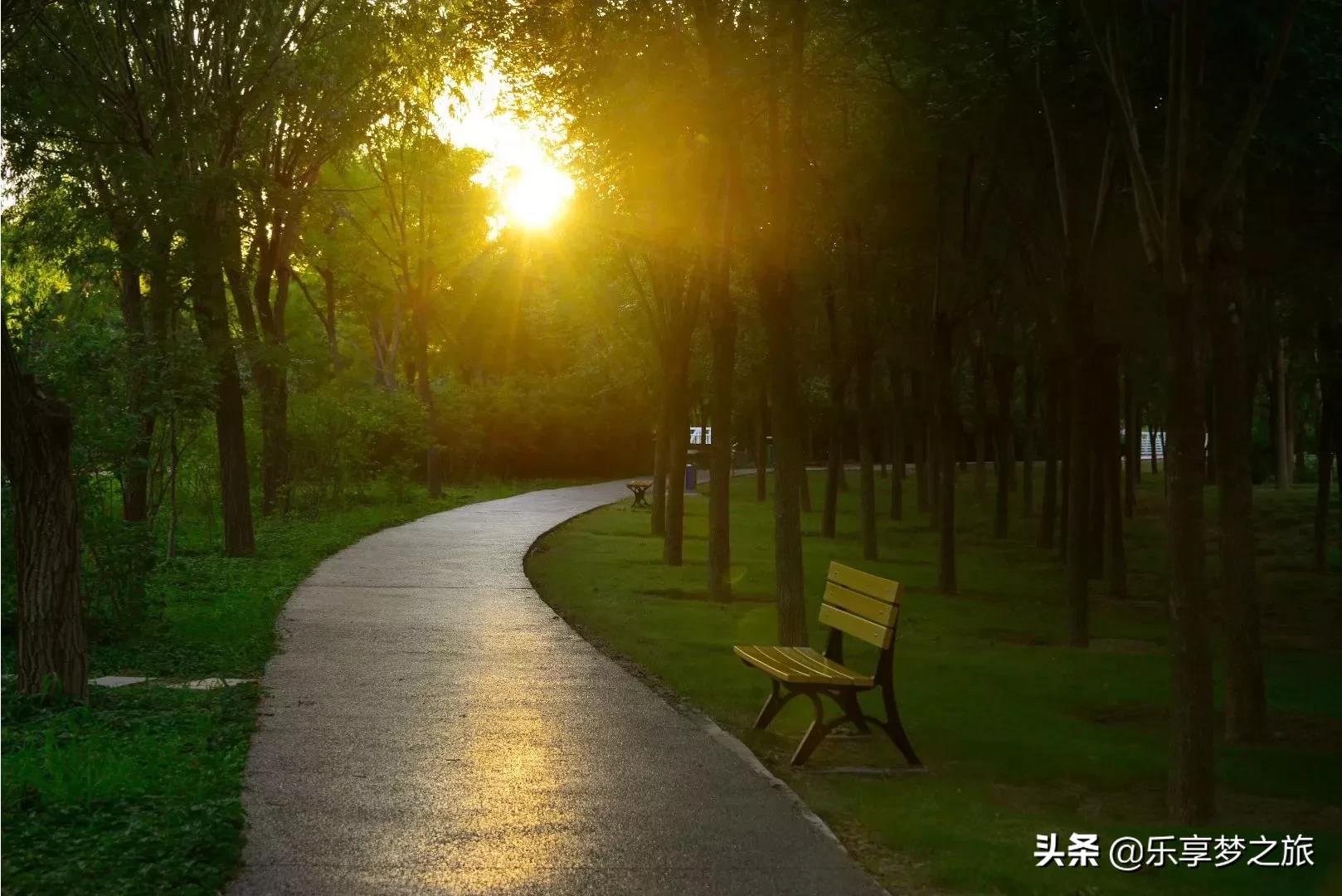 天津都有哪些森林公园？