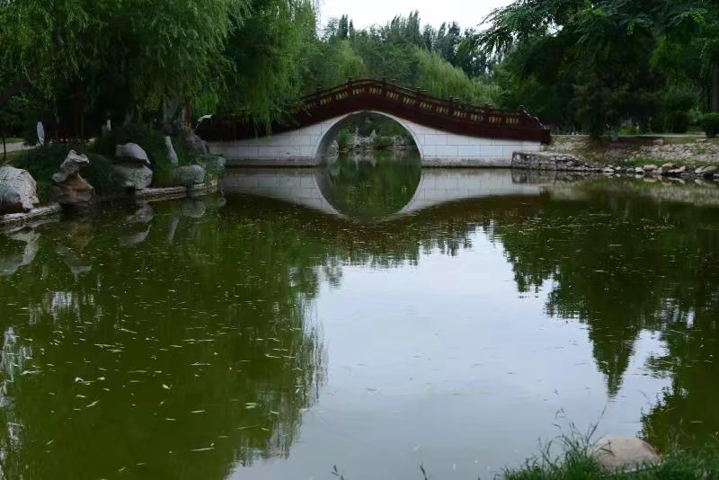 天津都有哪些森林公园？