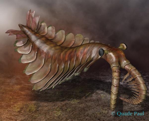 奥特瓦类生物(世界上存在过哪些奇特的古生物？)