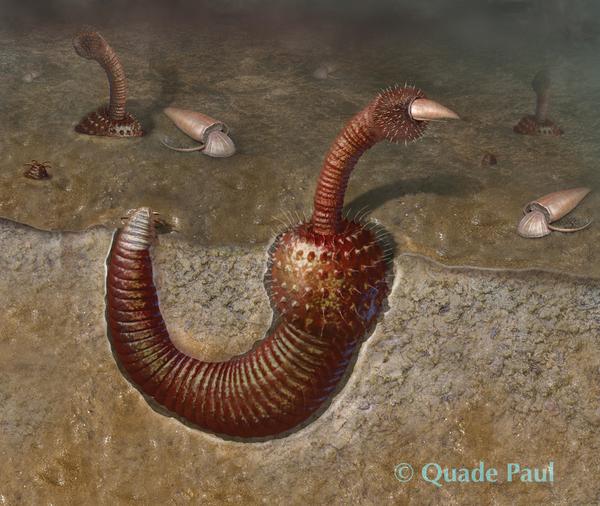 奥特瓦类生物(世界上存在过哪些奇特的古生物？)
