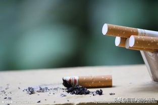 烟头回收赚钱不(烟头回收怎么盈利？)
