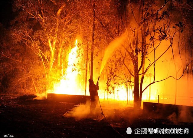 澳大利亚火灾烧了多久(澳洲大火烧了210天左右，为什么不人工降雨呢？)