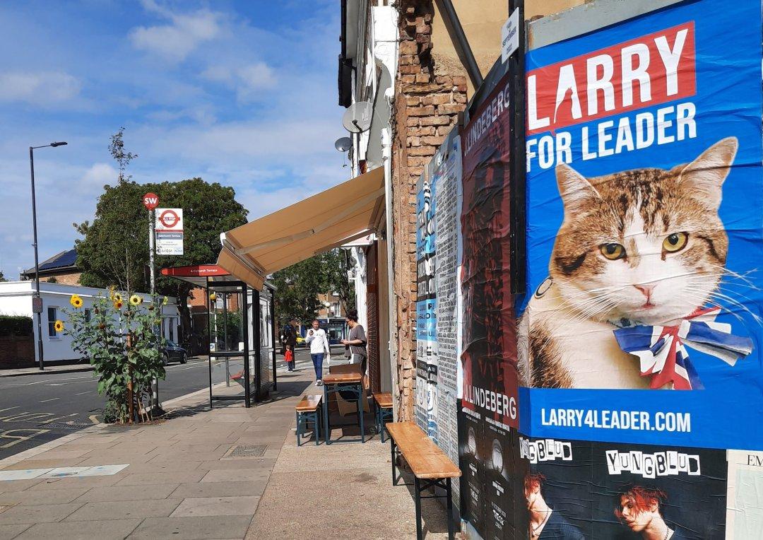 御猫larry(英国御猫Larry也竞选了首相？网友热烈支持，虽败犹荣)