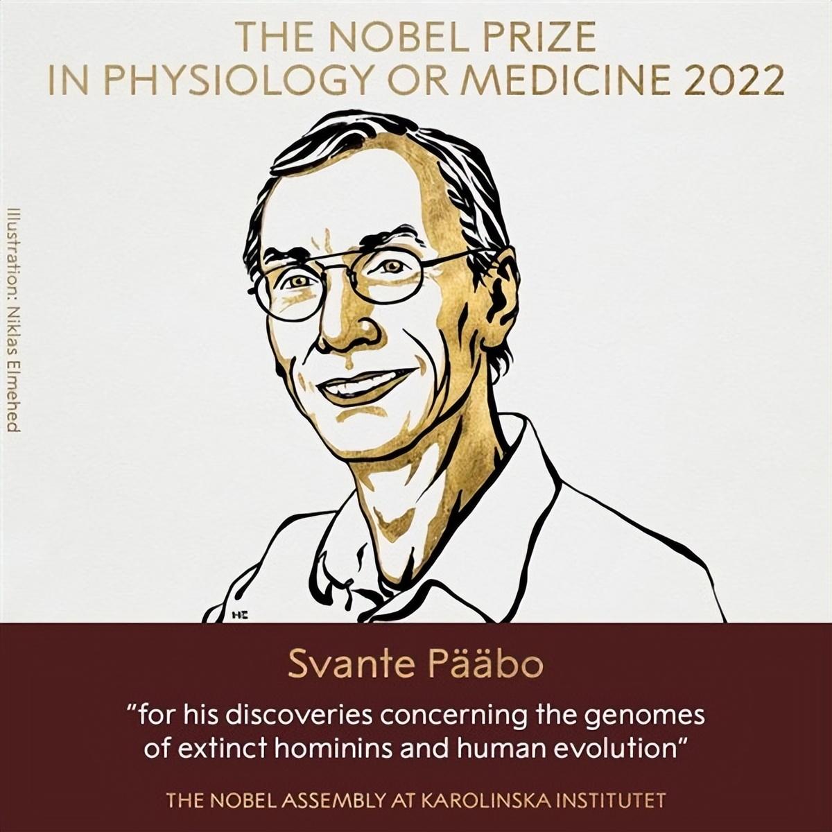 诺贝尔生理医学奖(2022年诺贝尔生理医学奖，给了发现古人类基因组的人)