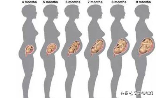 怀孕几个月肚子才开始长大？
