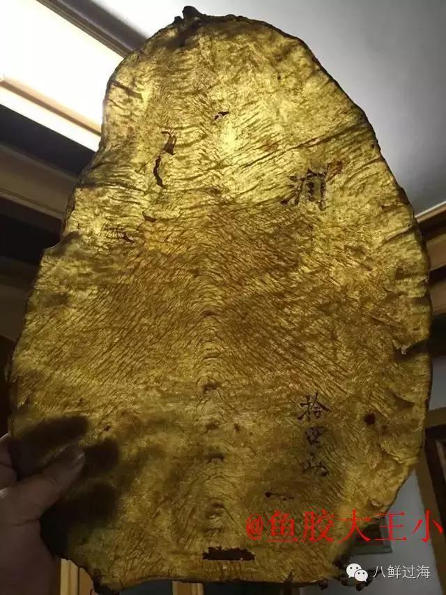 墨西哥石首鱼鱼胶(怎么辨别花胶的真假？)