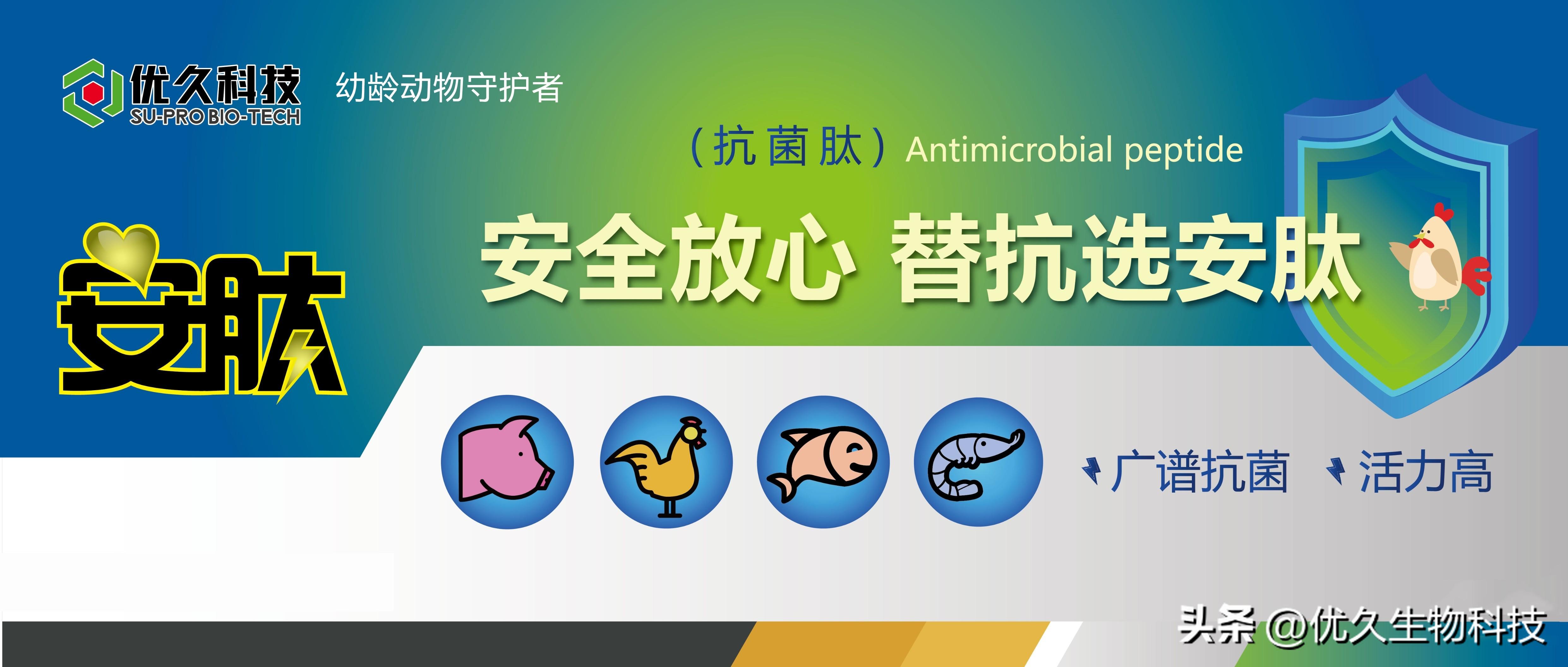 抗菌肽(抗菌肽对仔猪血清免疫球蛋白水平影响)