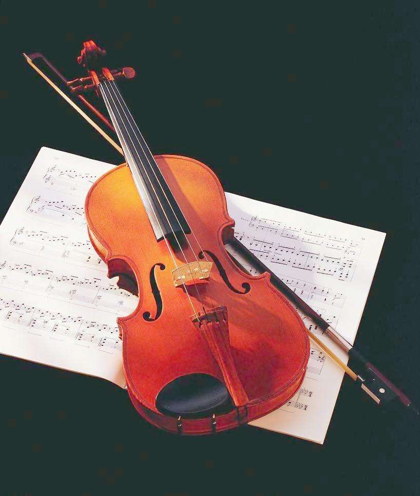 大提琴和小提琴的区别(小提琴和大提琴的区别是什么？)