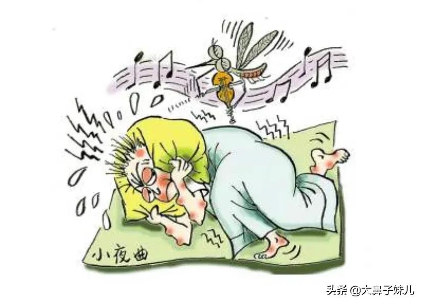 为什么蚊子喜欢在耳边飞(睡觉时感觉蚊子总是喜欢在耳朵旁飞)