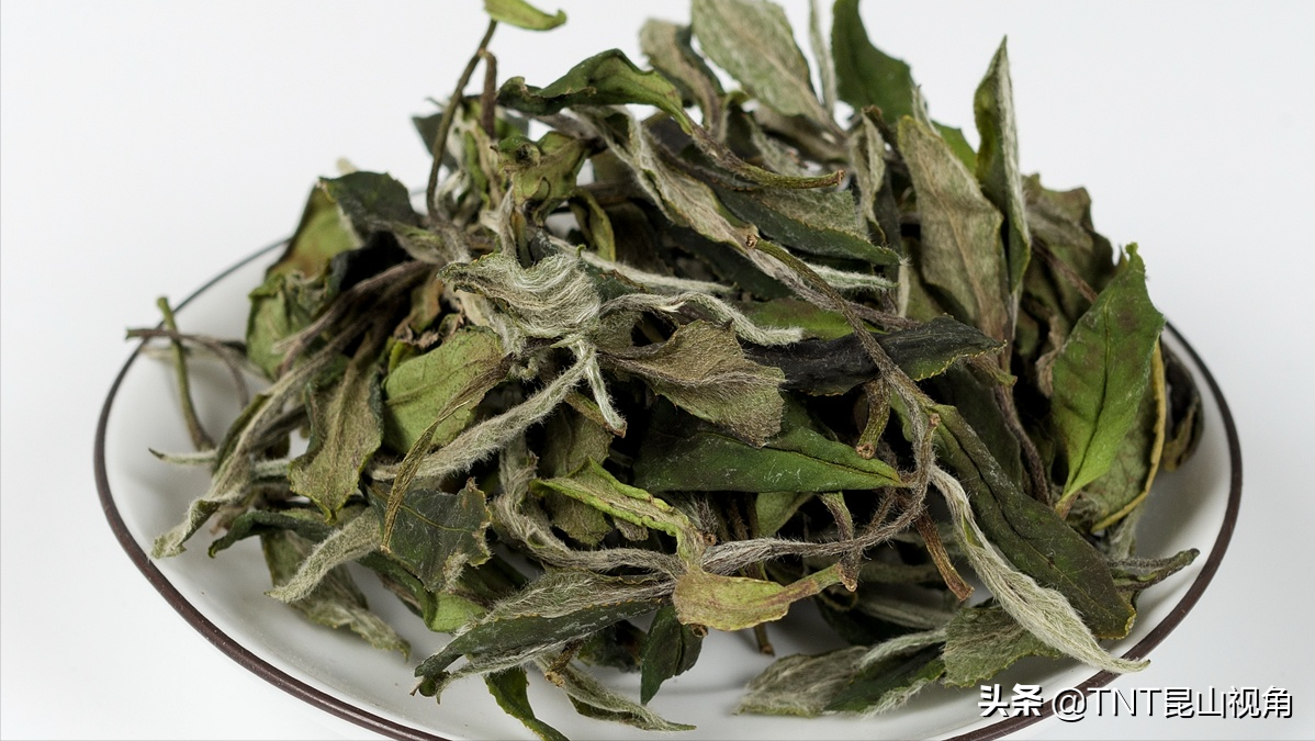 白茶是什么茶(白茶是什么茶？是绿茶吗？)