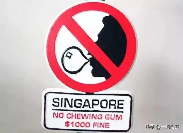 新加坡人(新加坡人的生活水平已经达到什么程度了？)