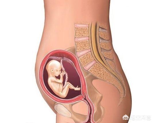 整个孕期，你都有哪些感受？