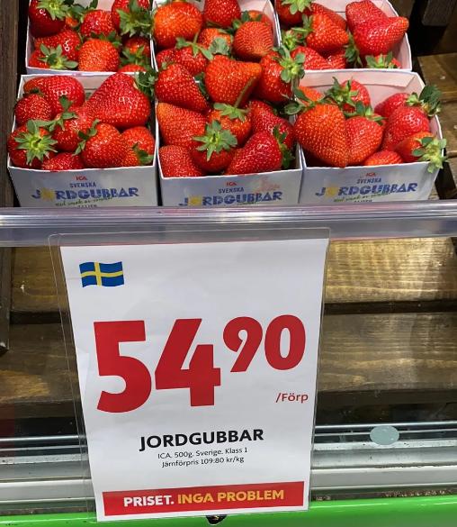 瑞典人的生活水平已经达到什么程度了？