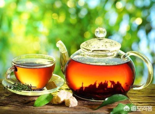 夏天喝红茶还是绿茶(夏天喝绿茶好还是红茶好？)