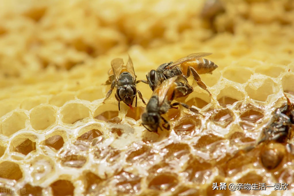 蜂蜜有什么功效，吃蜂蜜有什么注意事项？