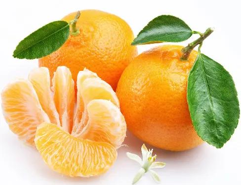 什么水果止咳化痰的效果好？