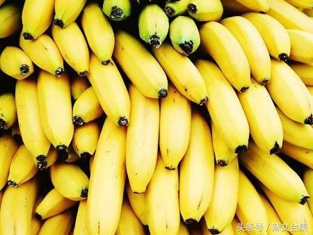 大香蕉网站(大香蕉网站长故事)
