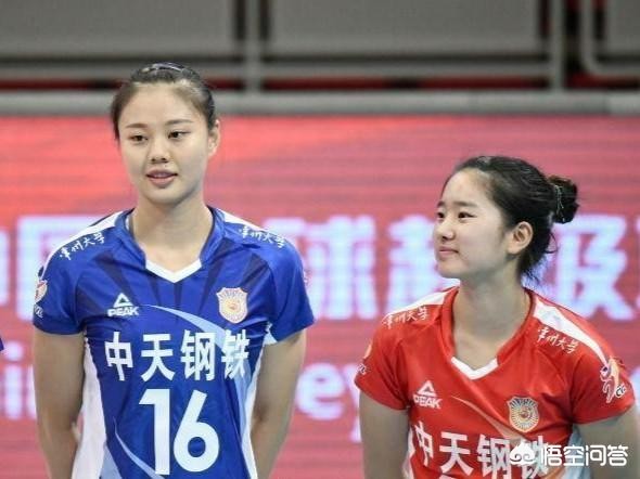 2019年中国女排队员名单(中国女排国家队集训名单)