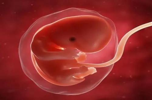 怀孕初期、中期、晚期，各个时期需要注意些什么呢？