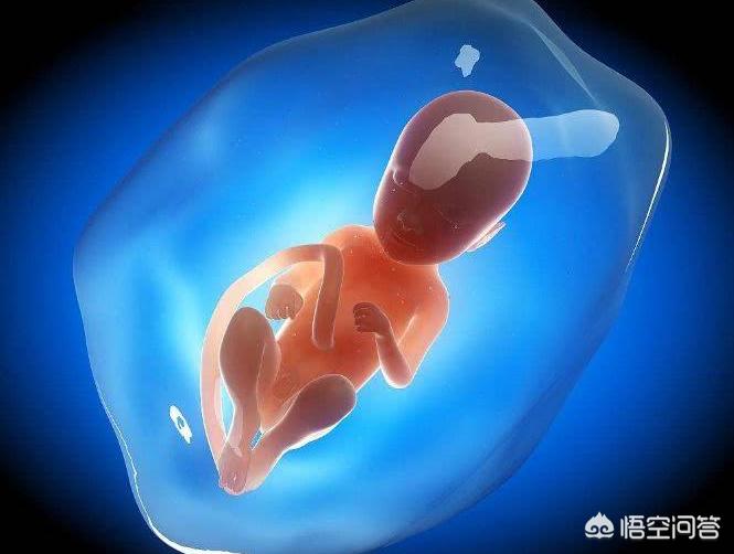 婴儿在母亲肚子里会拉屎拉尿吗？