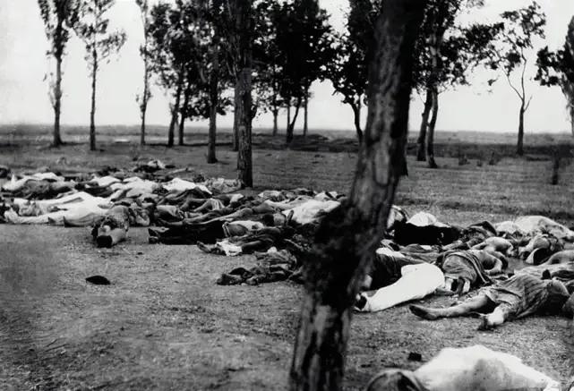 亚美尼亚大屠杀(亚美尼亚大屠杀真相：数百万人被残害，千万少女受辱钉死十字架)