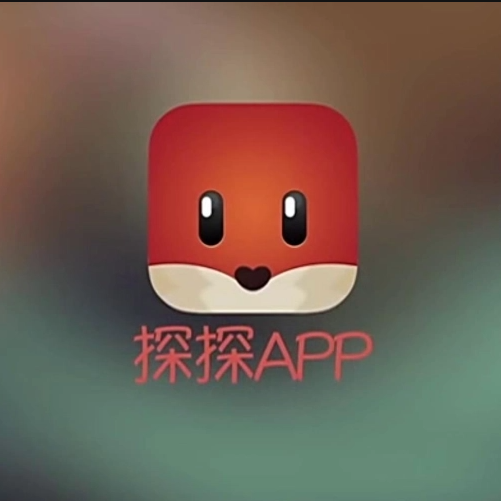 中国十大交友神器 交友软件app排行榜前十名 第17张