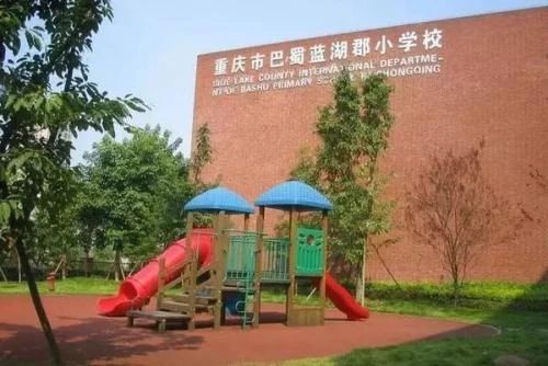 一年学费20万，在重庆上个小学也太贵了吧！看完数据你就知道了